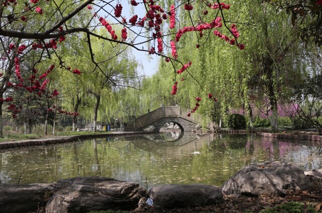 校园风景